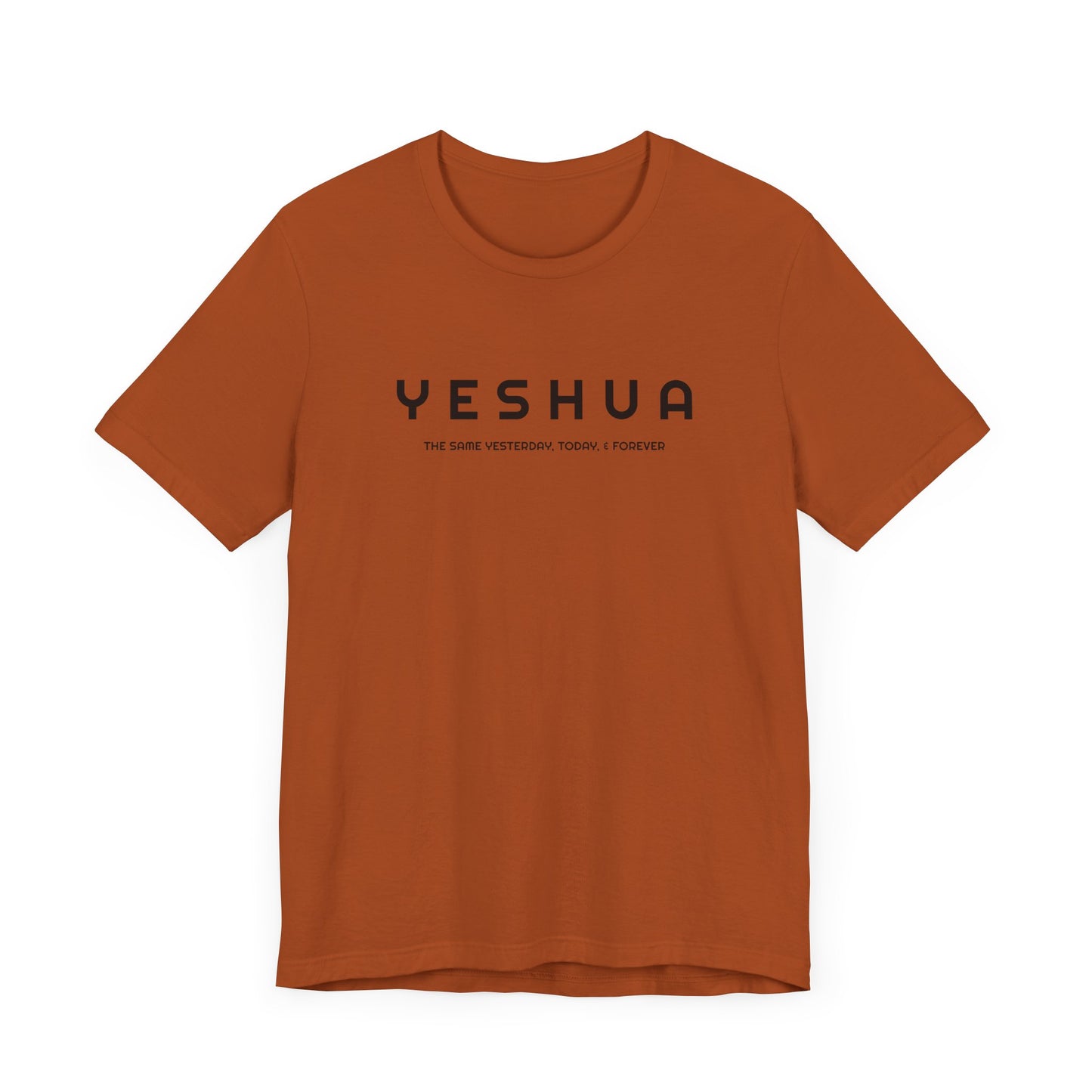 Hebrew 13:8 Yeshua  Cotton T-Shirt   | Faith-Inspired Scripture Tee" | Unisex Jersey Short Sleeve Tee | Express Delivery available