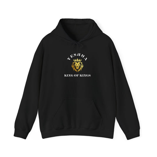 Revelations 17: 14 Yeshua King of Kings Scripture Inspired Hoodie