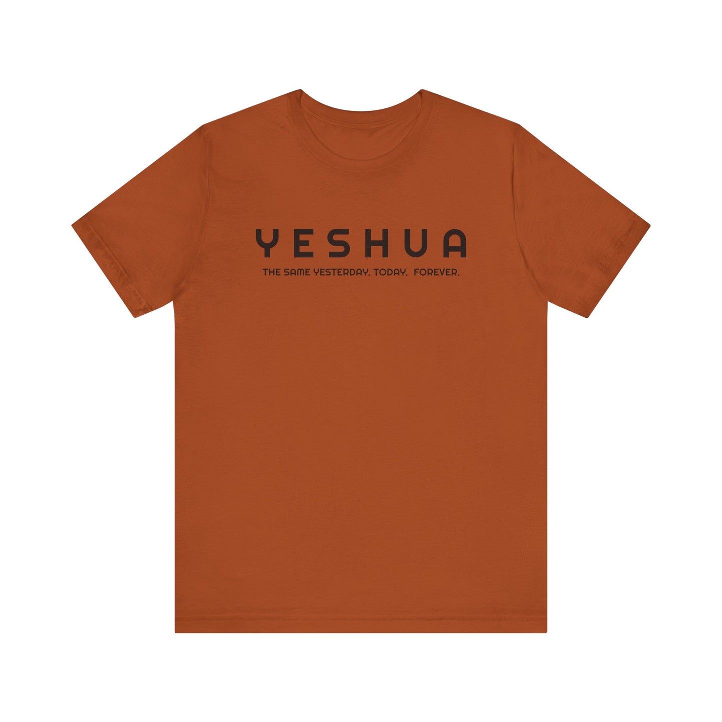 Hebrew 13:8 Yeshua  Cotton T-Shirt   | Faith-Inspired Scripture Tee  Express Delivery available